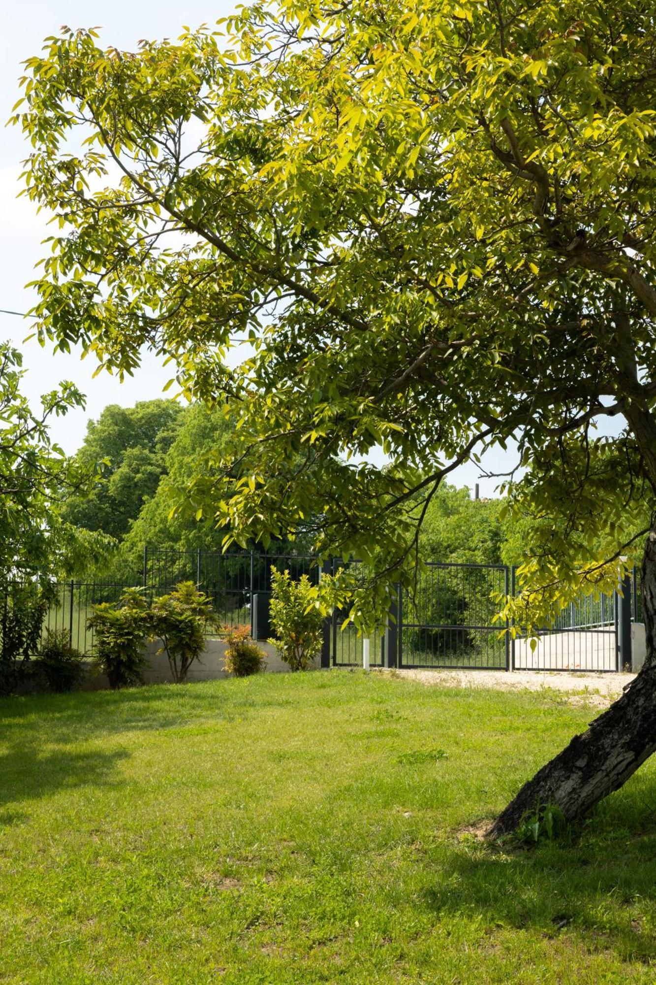 Bed And Breakfast Le Giale Castelnuovo del Garda Bagian luar foto